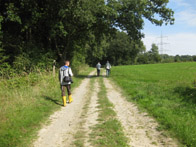 &copy; Zierfischfreunde Immenhausen-Holzhausen